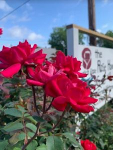 Sign with Roses